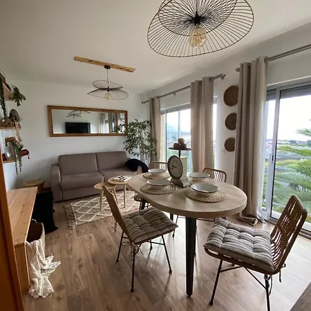 Raposo Apartment